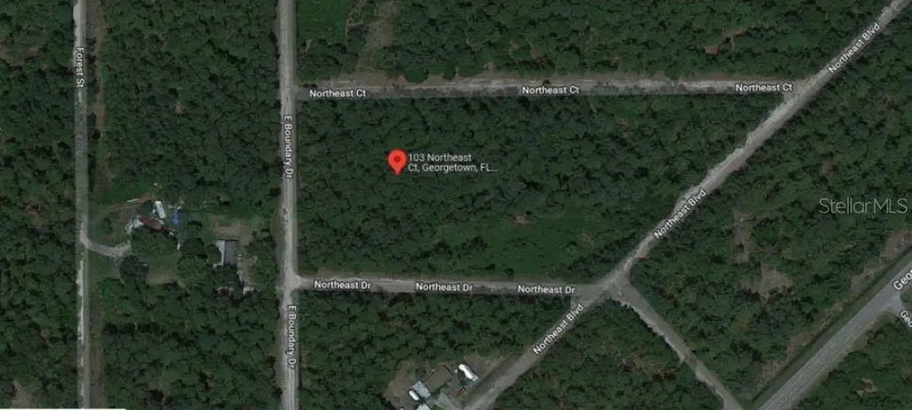 103 Northeast Court Georgetown FL 32139