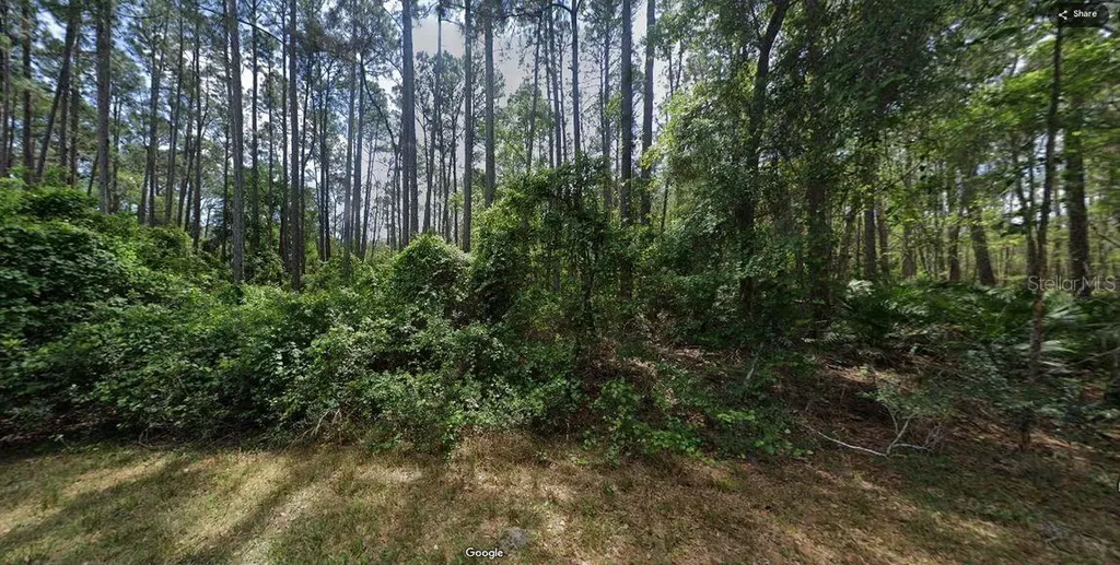 103 Northeast Court Georgetown FL 32139
