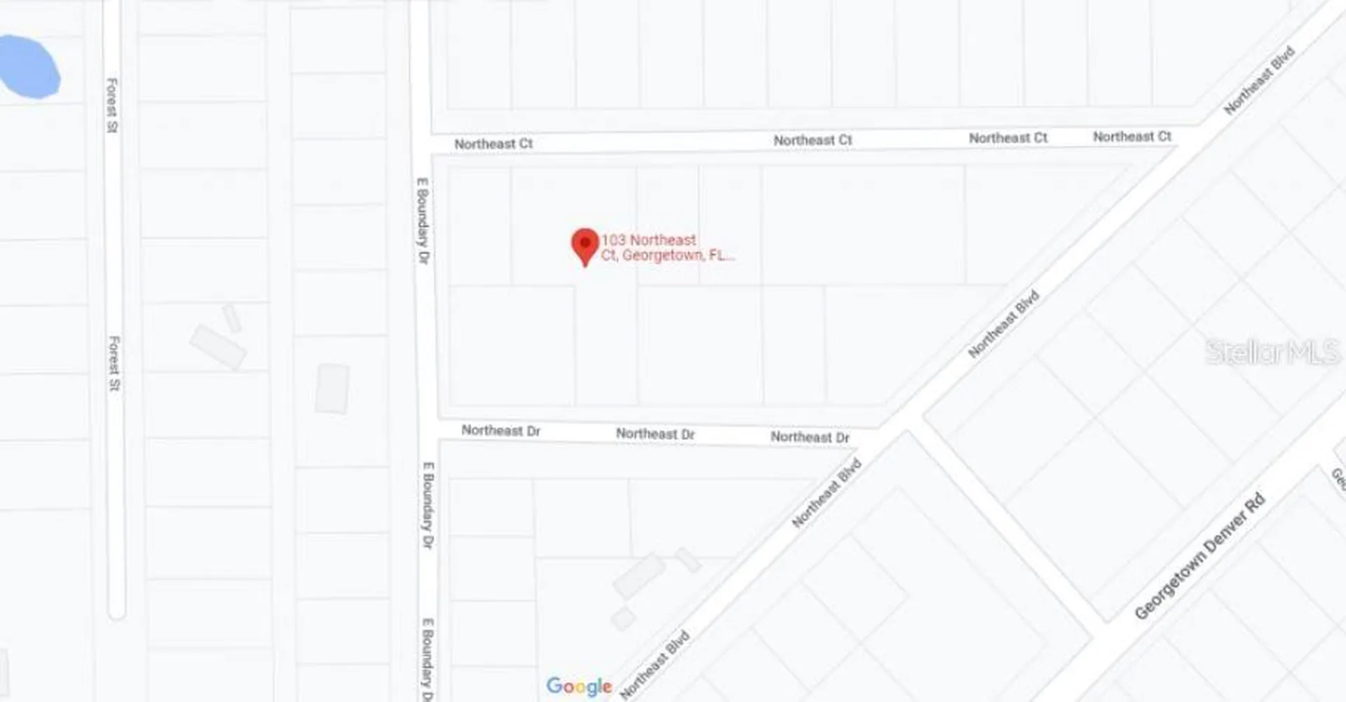103 Northeast Court Georgetown FL 32139