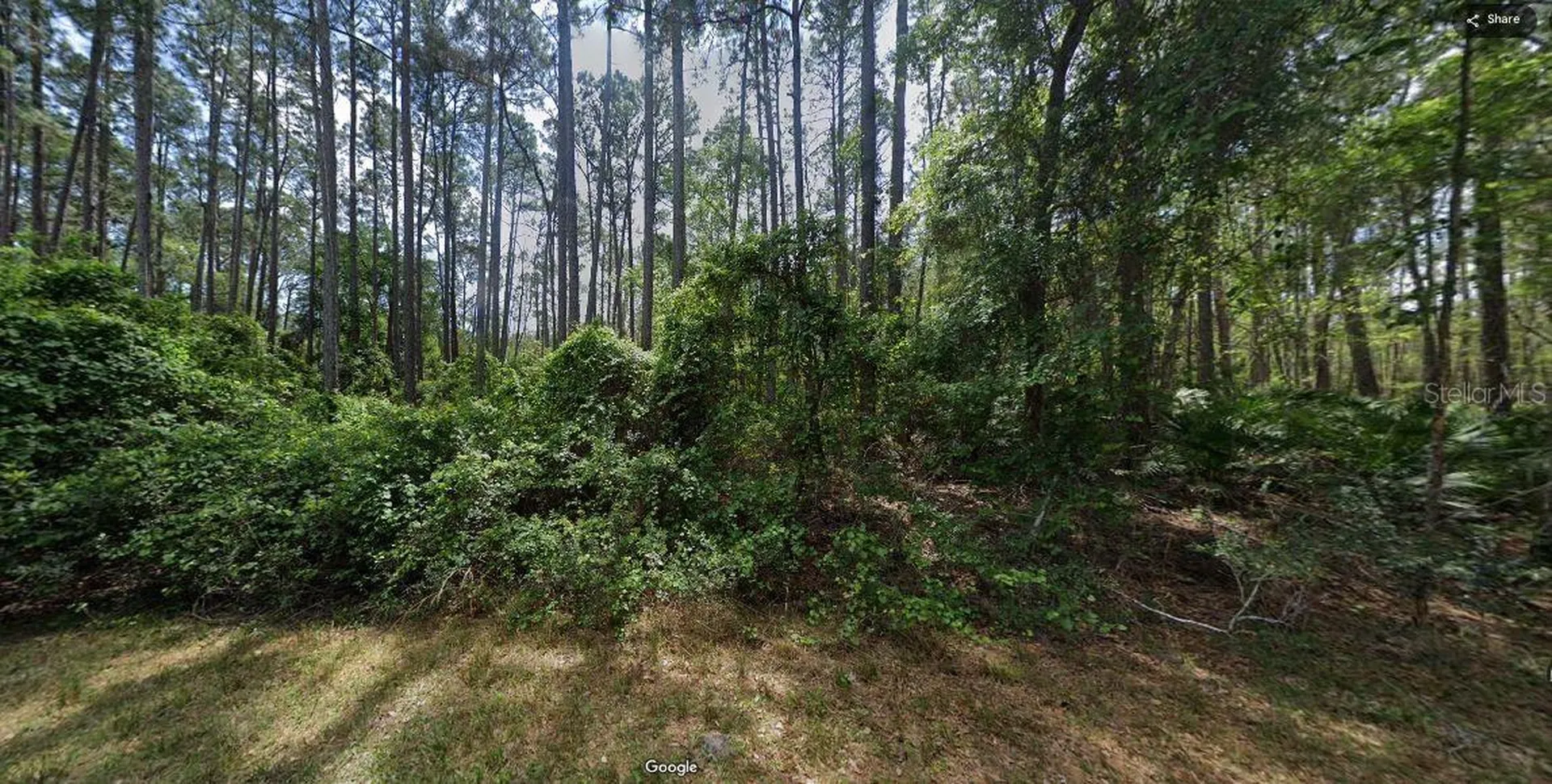 103 Northeast Court Georgetown FL 32139