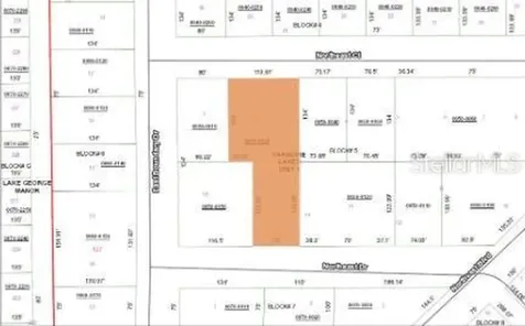 103 Northeast Court Georgetown FL 32139