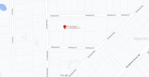 103 Northeast Court Georgetown FL 32139