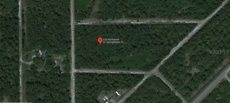 103 Northeast Court Georgetown FL 32139