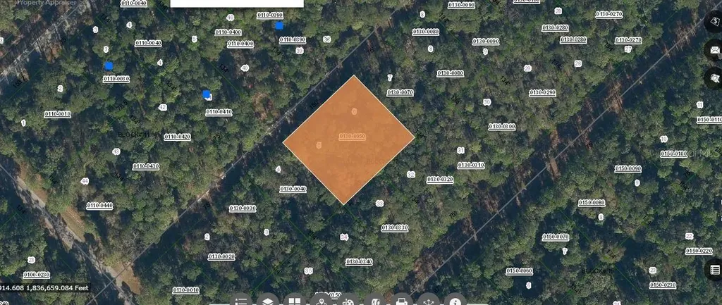 209 SE Paradise Lakes Georgetown FL 32139