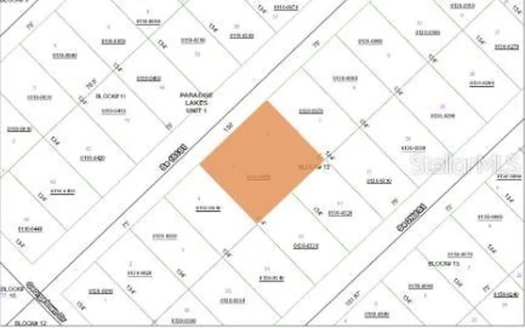 209 SE Paradise Lakes Georgetown FL 32139