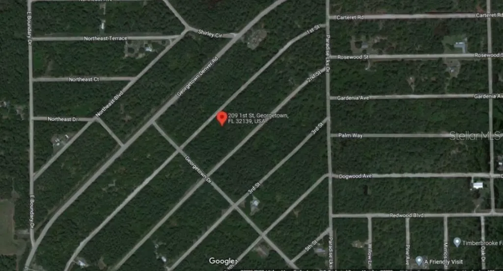 209 SE Paradise Lakes Georgetown FL 32139