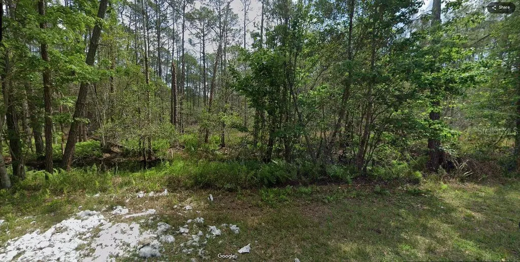209 SE Paradise Lakes Georgetown FL 32139