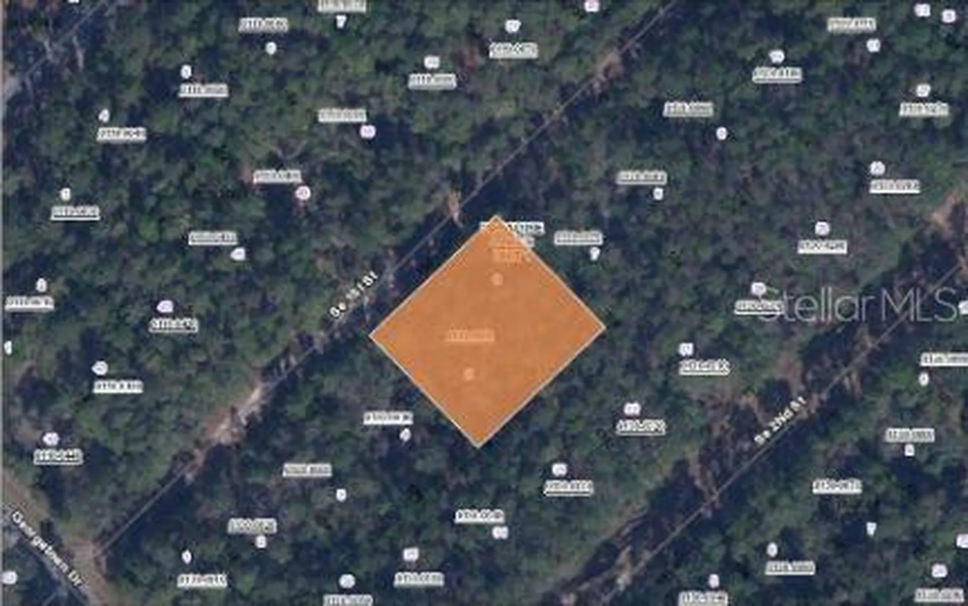 209 SE Paradise Lakes Georgetown FL 32139