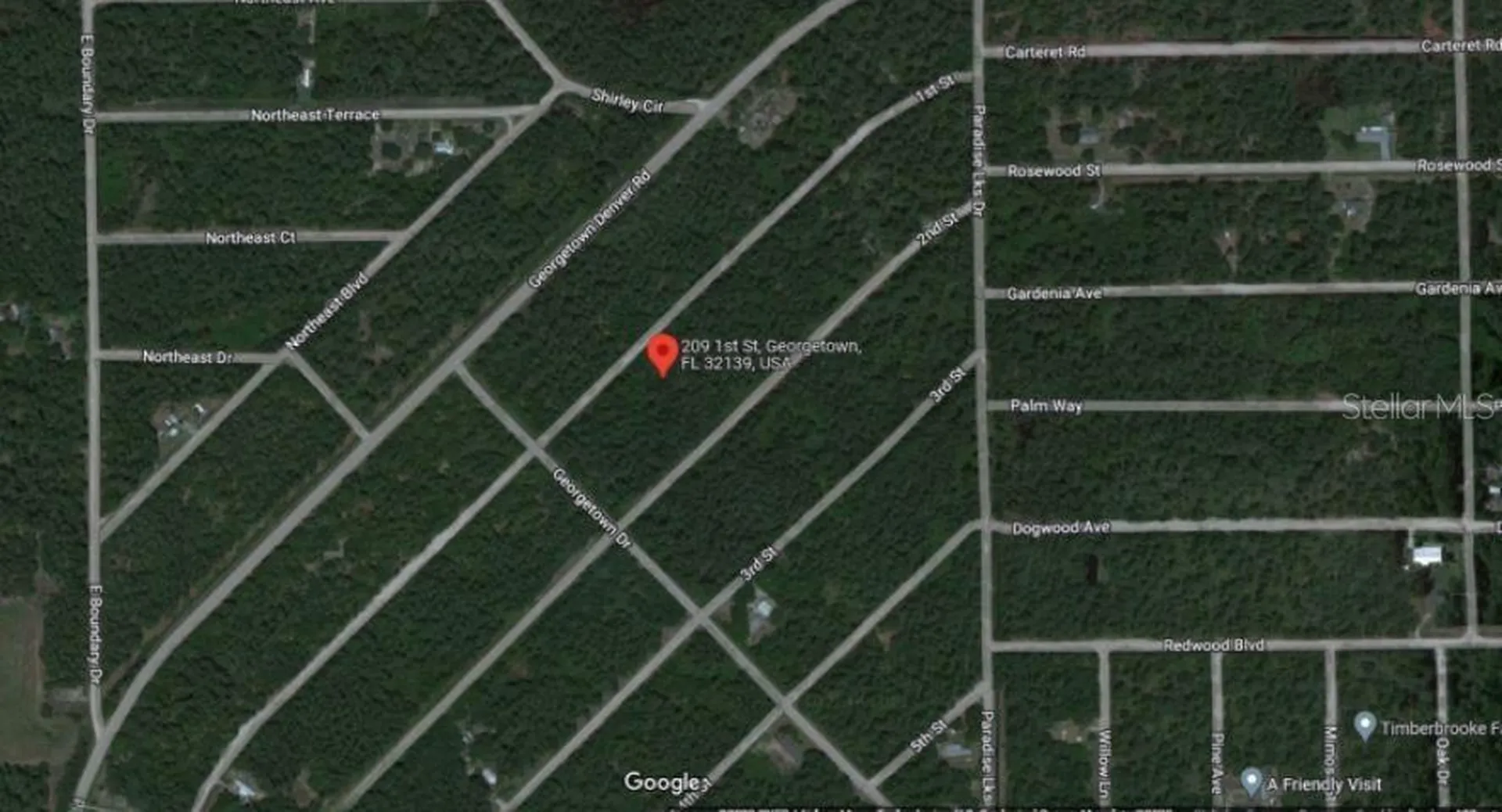 209 SE Paradise Lakes Georgetown FL 32139