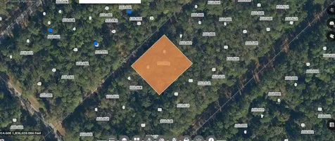 209 SE Paradise Lakes Georgetown FL 32139
