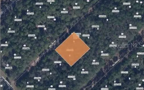 209 SE Paradise Lakes Georgetown FL 32139