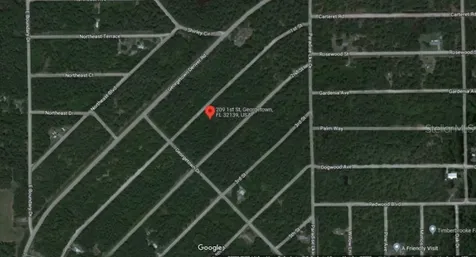 209 SE Paradise Lakes Georgetown FL 32139