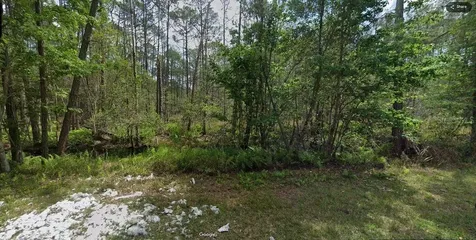 209 SE Paradise Lakes Georgetown FL 32139