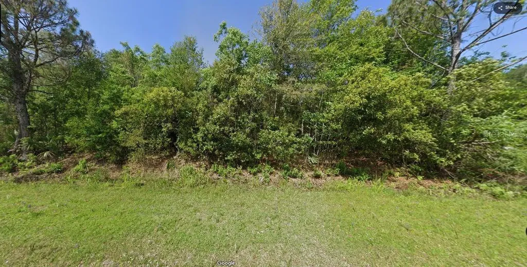 Paradise Lakes Avenue Georgetown FL 32139