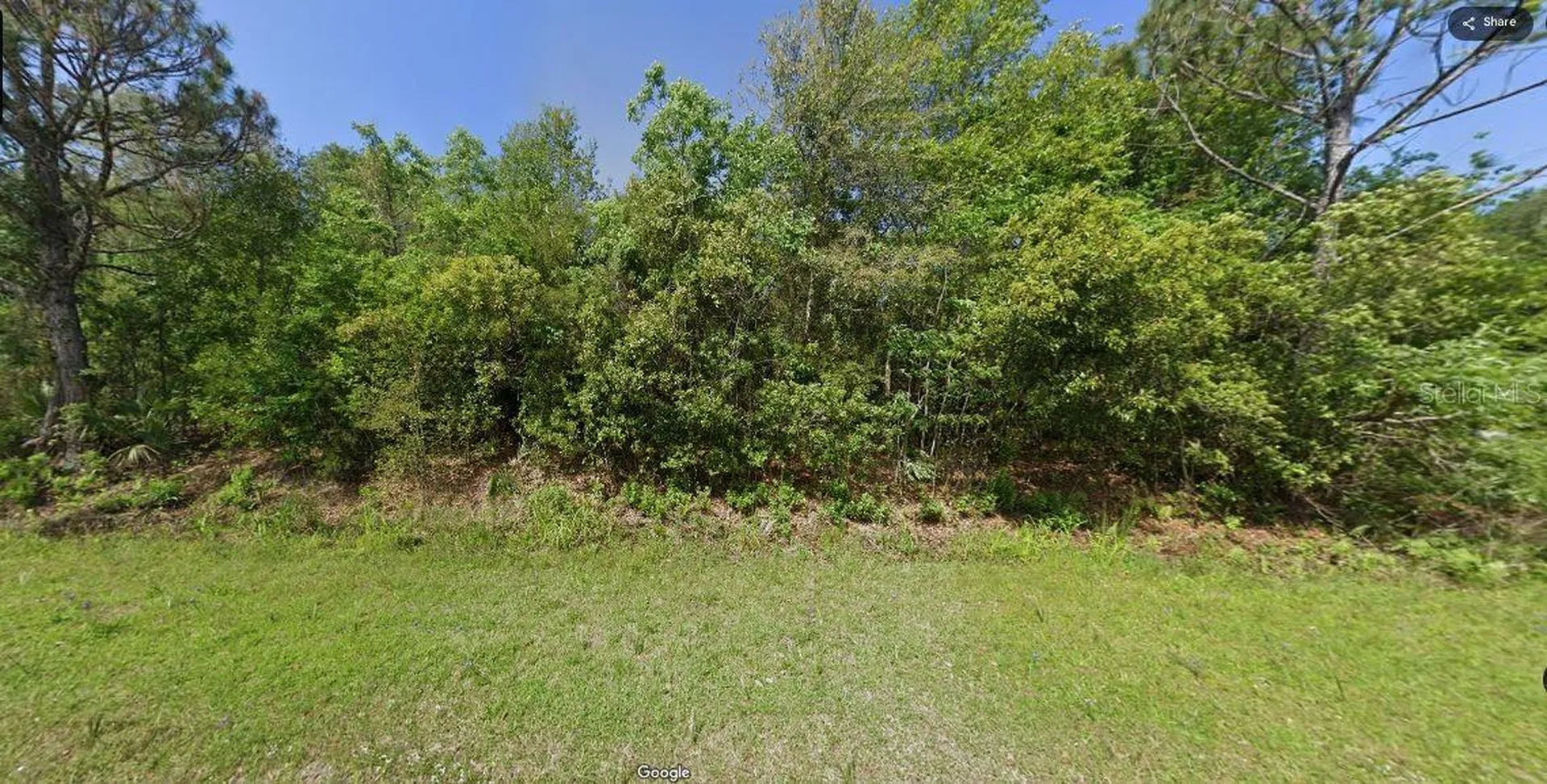 Paradise Lakes Avenue Georgetown FL 32139