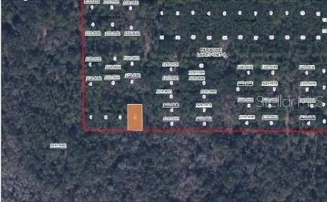 Paradise Lakes Avenue Georgetown FL 32139