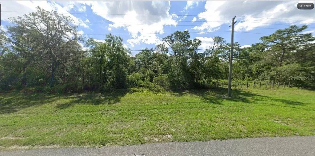 Chimney Rock Drive Webster FL 33597