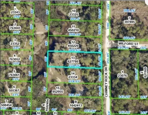Chimney Rock Drive Webster FL 33597
