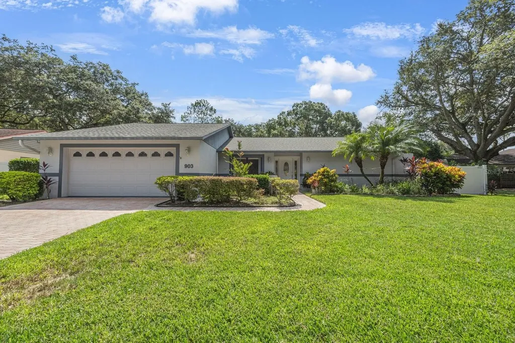 903 Springville Court Tampa FL 33613