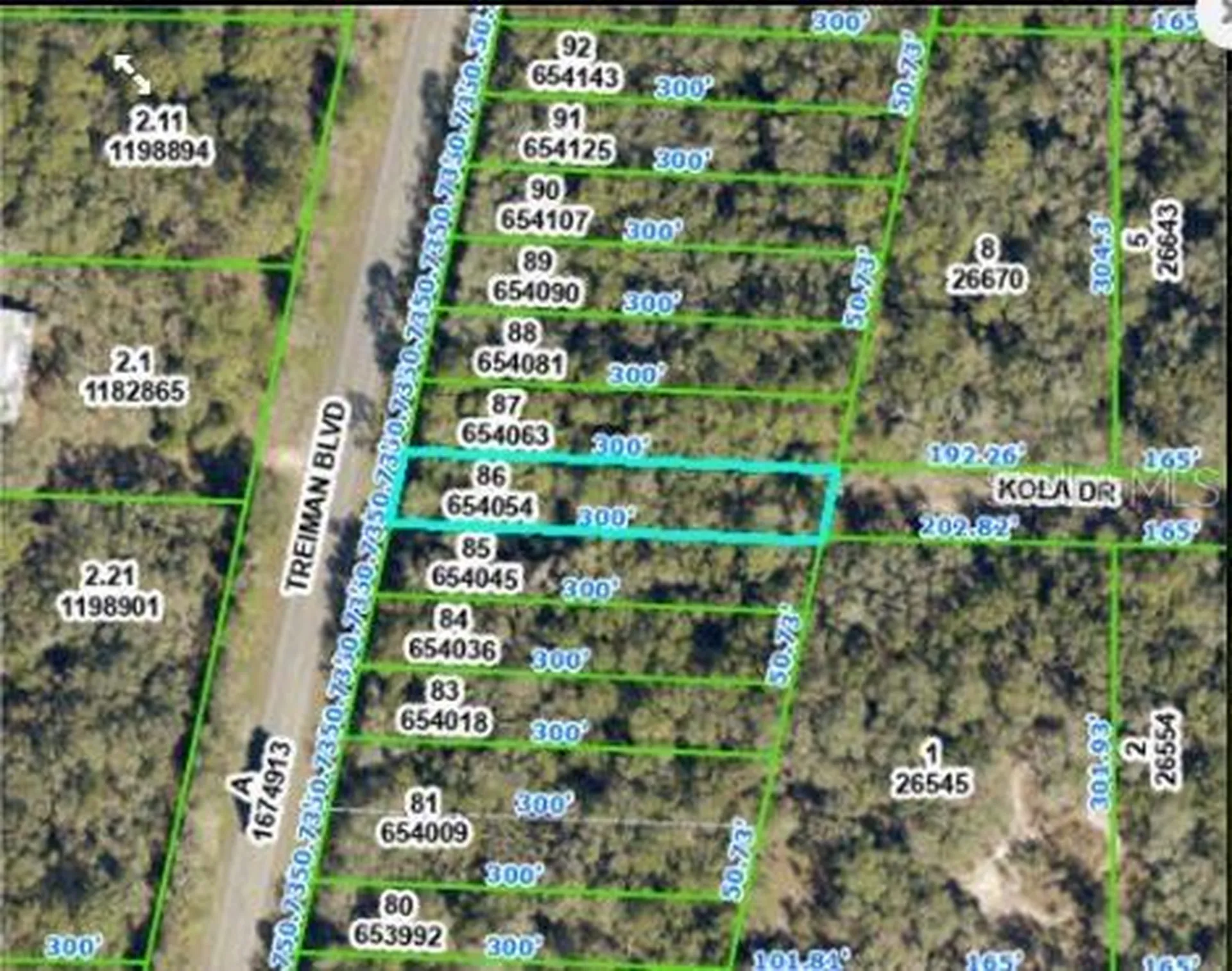 8250 Treiman Boulevard Boulevard Webster FL 33597