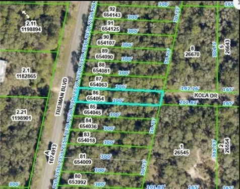 8250 Treiman Boulevard Boulevard Webster FL 33597