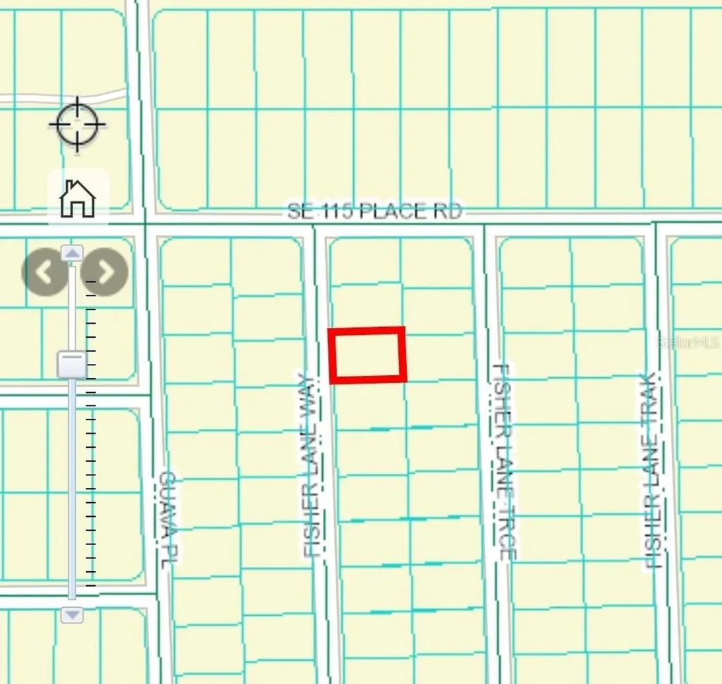 0 Fisher Lane Way Ocklawaha FL 32179