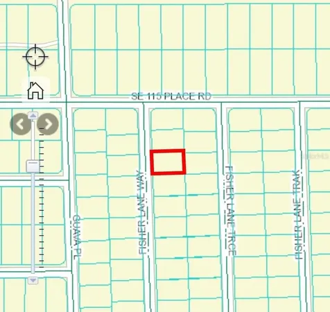 0 Fisher Lane Way Ocklawaha FL 32179