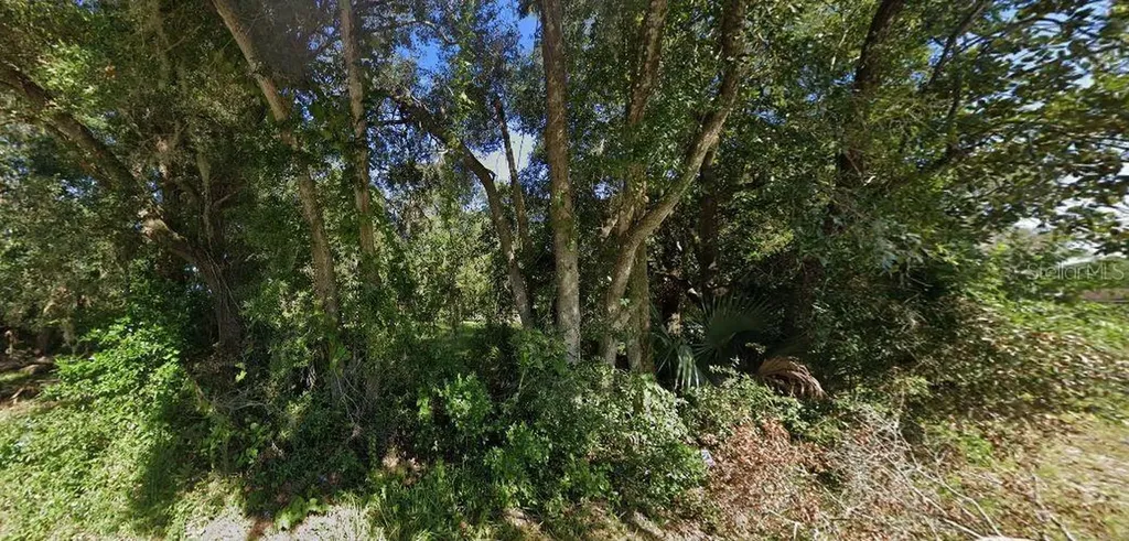 SE Hawthorne Road Hawthorne FL 32640