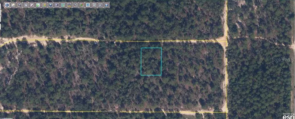6213 Olgethorpe Avenue Keystone Heights FL 32656