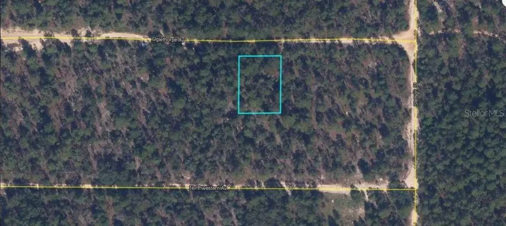6213 Olgethorpe Avenue Keystone Heights FL 32656