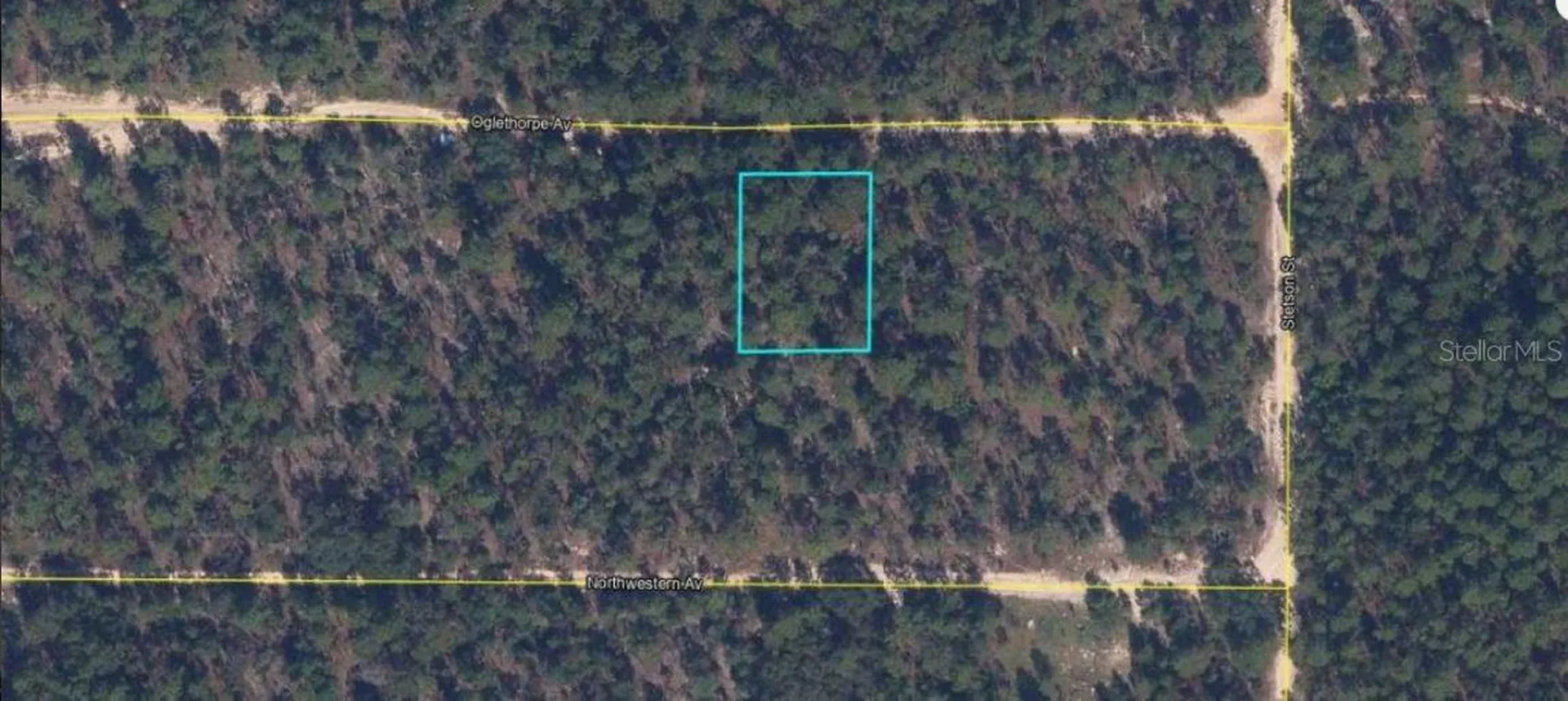 6213 Olgethorpe Avenue Keystone Heights FL 32656