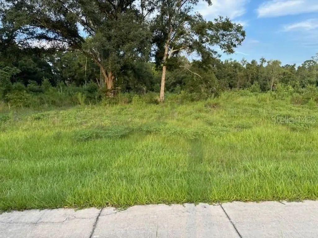 SW 4th Avenue Chiefland FL 32626