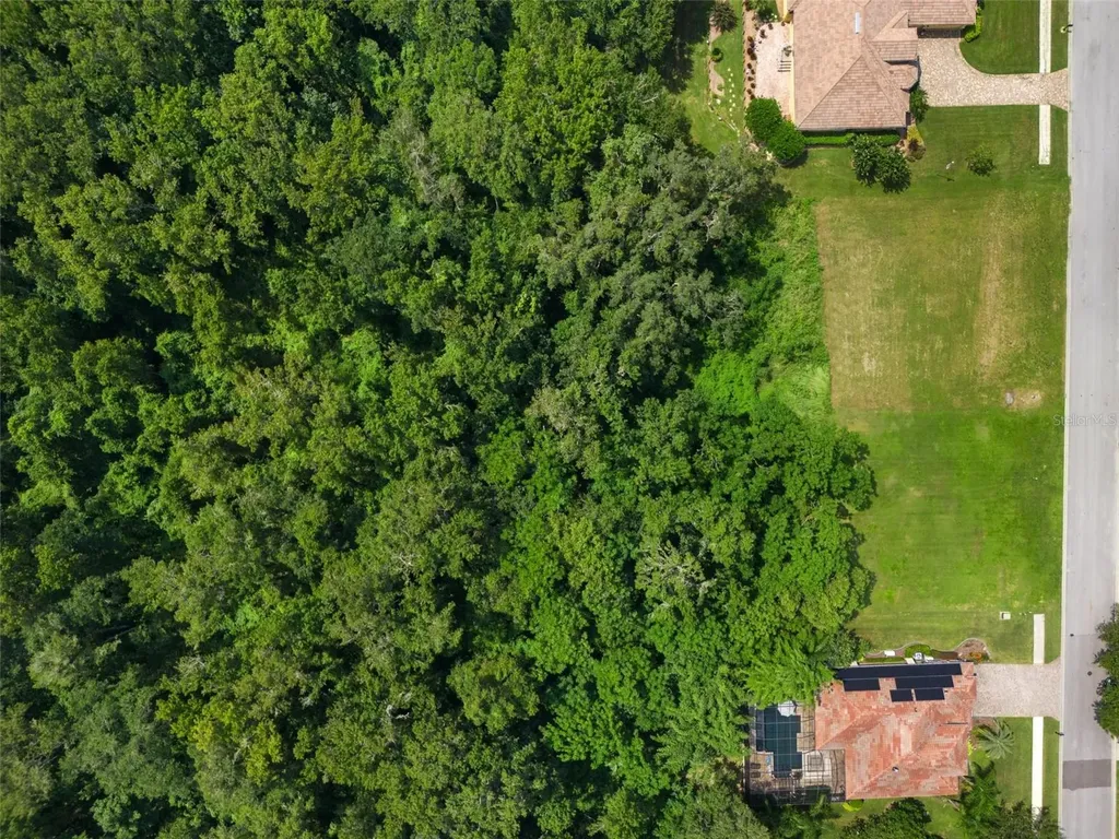 13208 Tradition Drive Dade City FL 33525