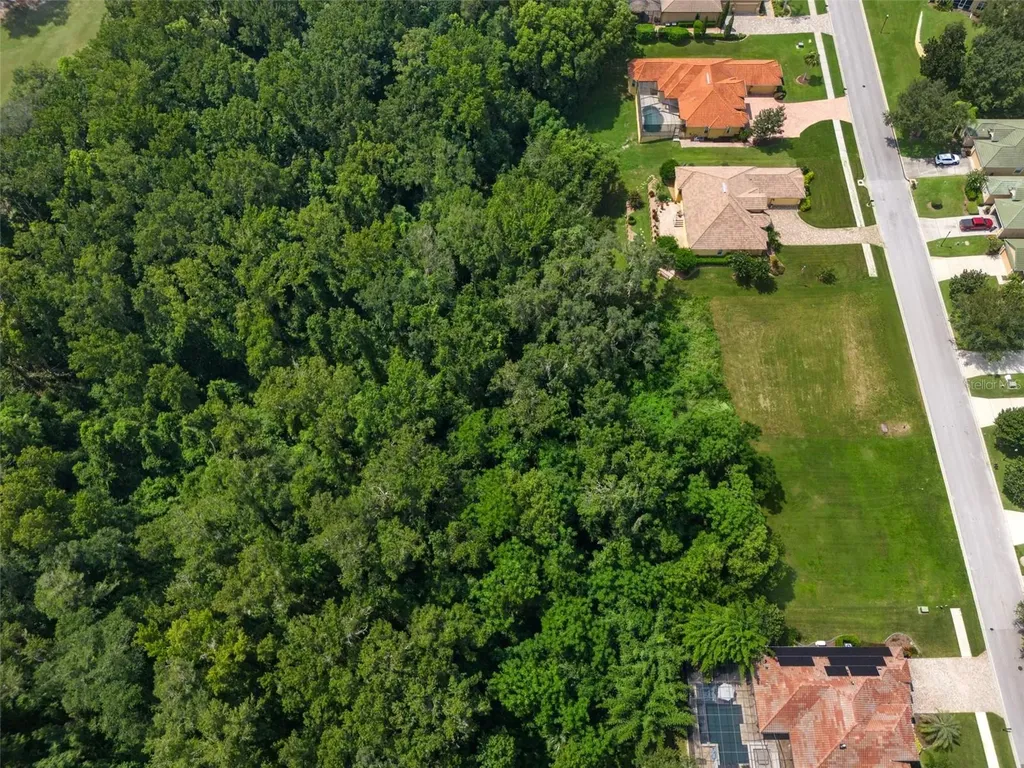 13208 Tradition Drive Dade City FL 33525