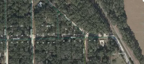 8089 SW 80th Trail Trenton FL 32693