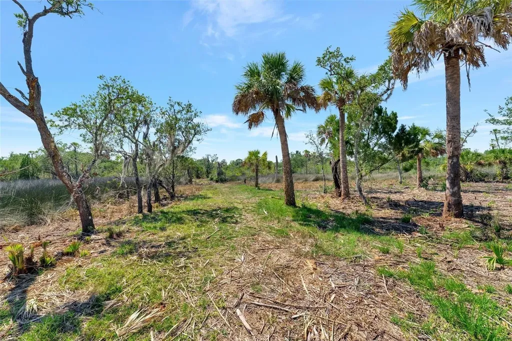 0 Japonica Court New Port Richey FL 34655