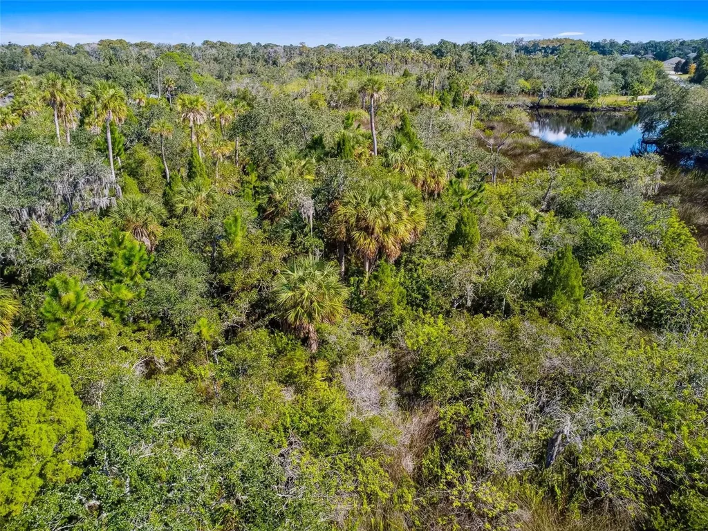 0 Japonica Court New Port Richey FL 34655