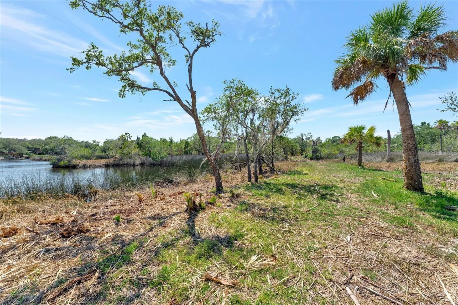 0 Japonica Court New Port Richey FL 34655