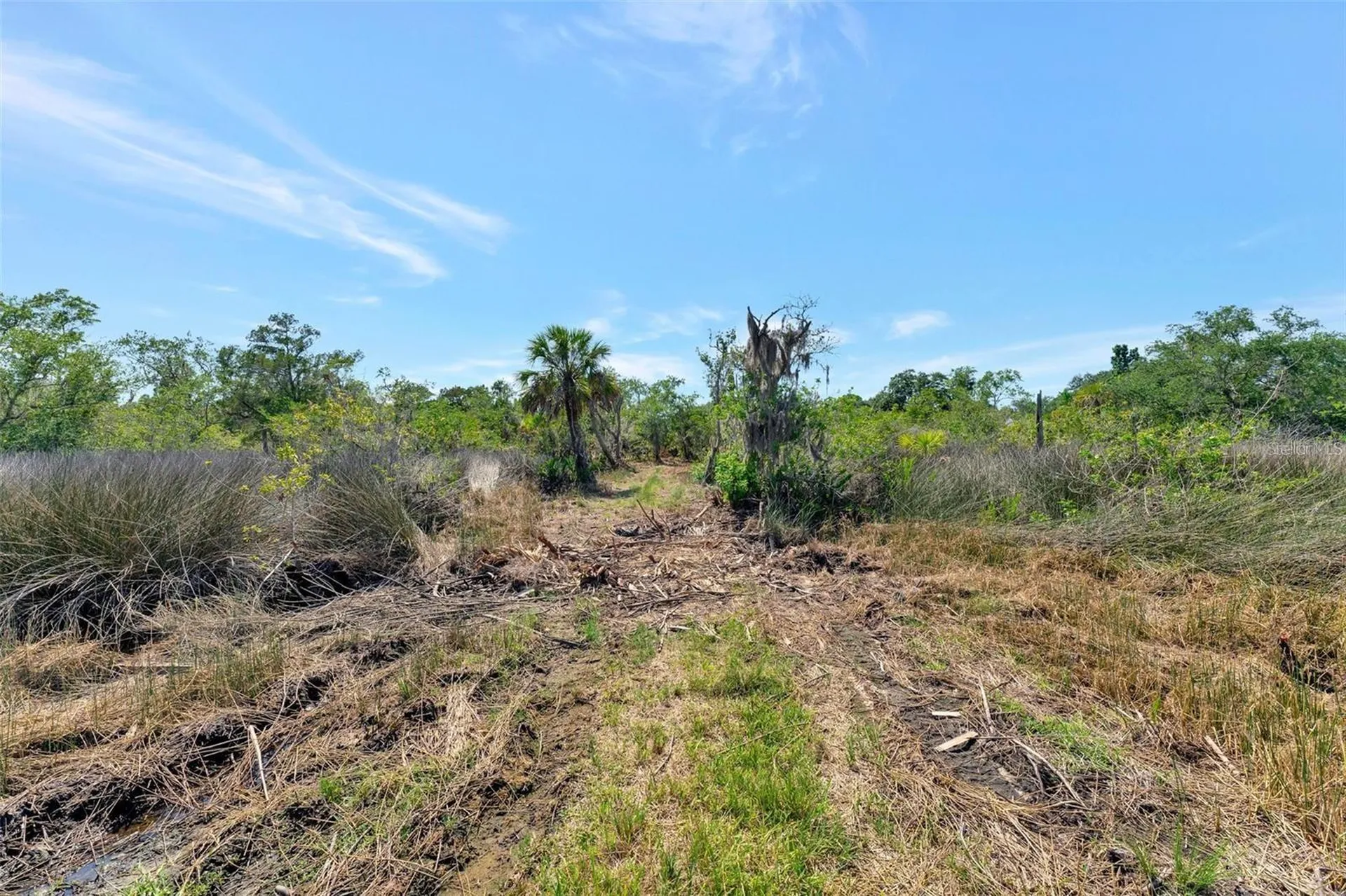 0 Japonica Court New Port Richey FL 34655