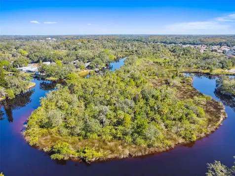 0 Japonica Court New Port Richey FL 34655