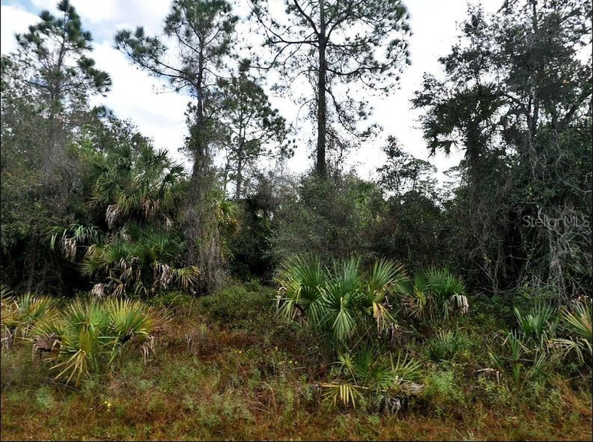 Ironside Street North Port FL 34288