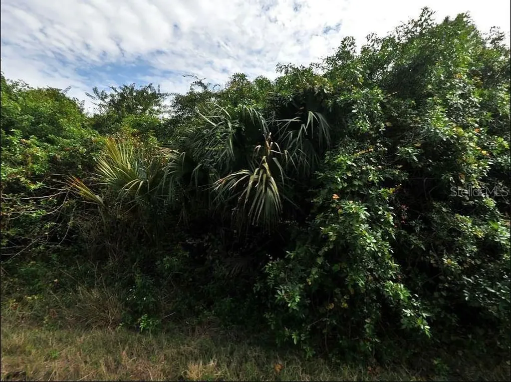 Inkwood Drive North Port FL 34288