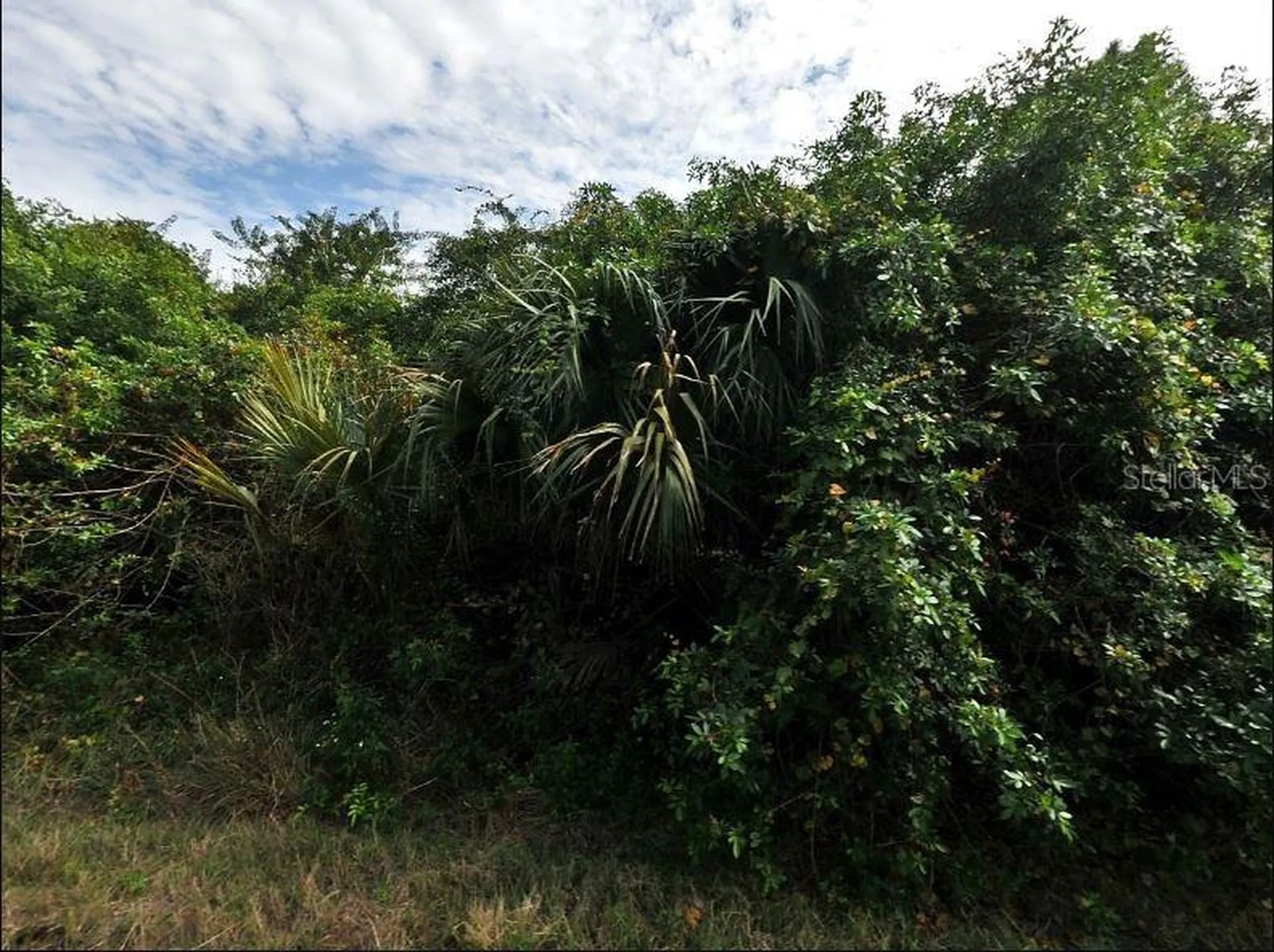 Inkwood Drive North Port FL 34288