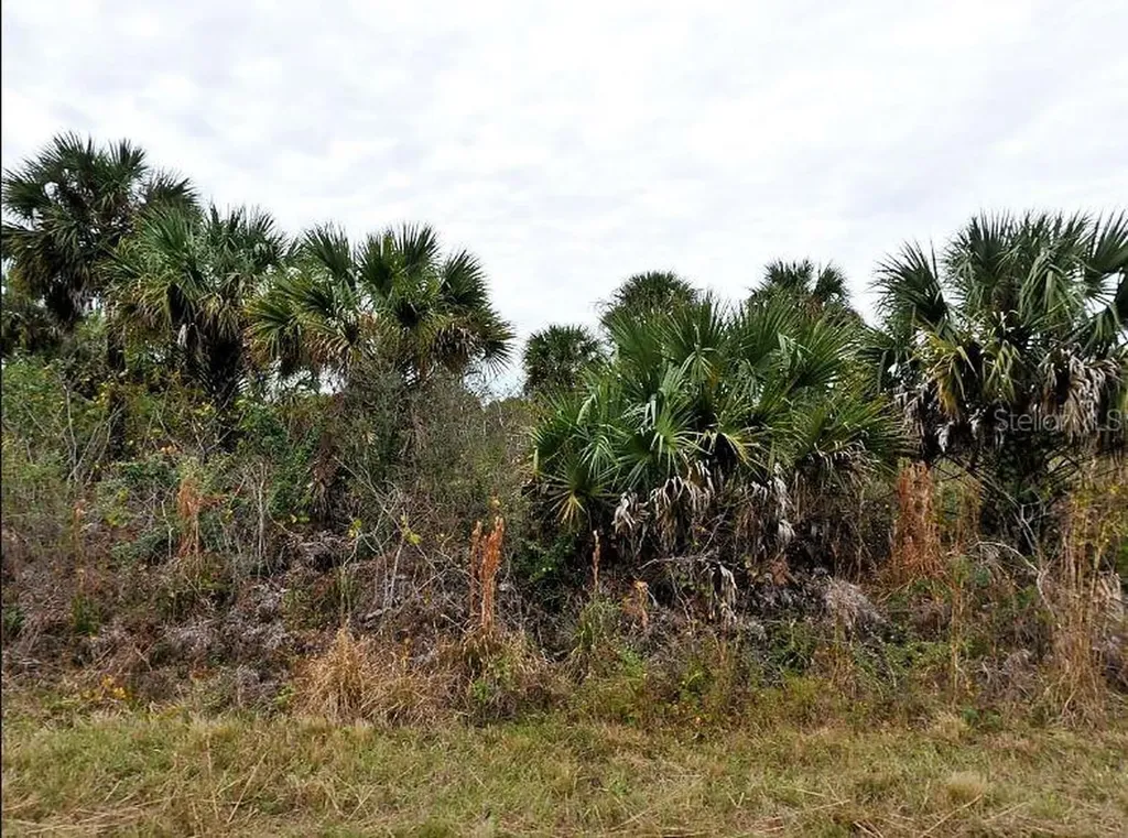 E Fiveleaf Dr, North Port FL 34288