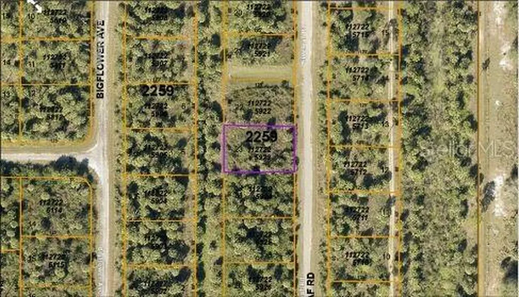 E Fiveleaf Dr, North Port FL 34288