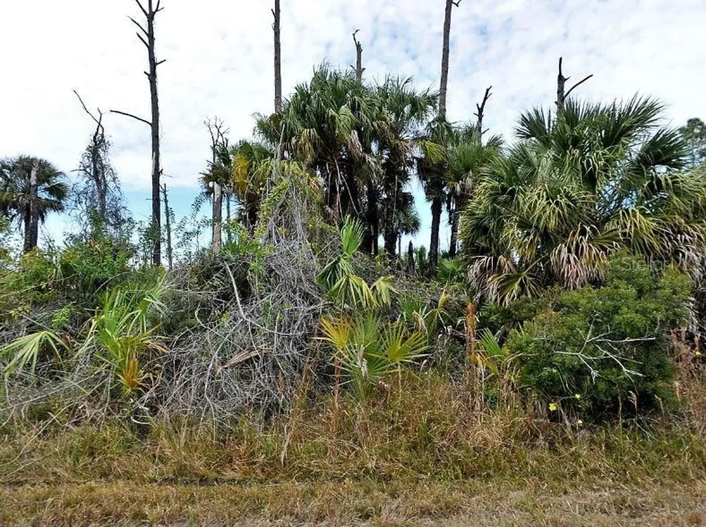Ewen Drive North Port FL 34288