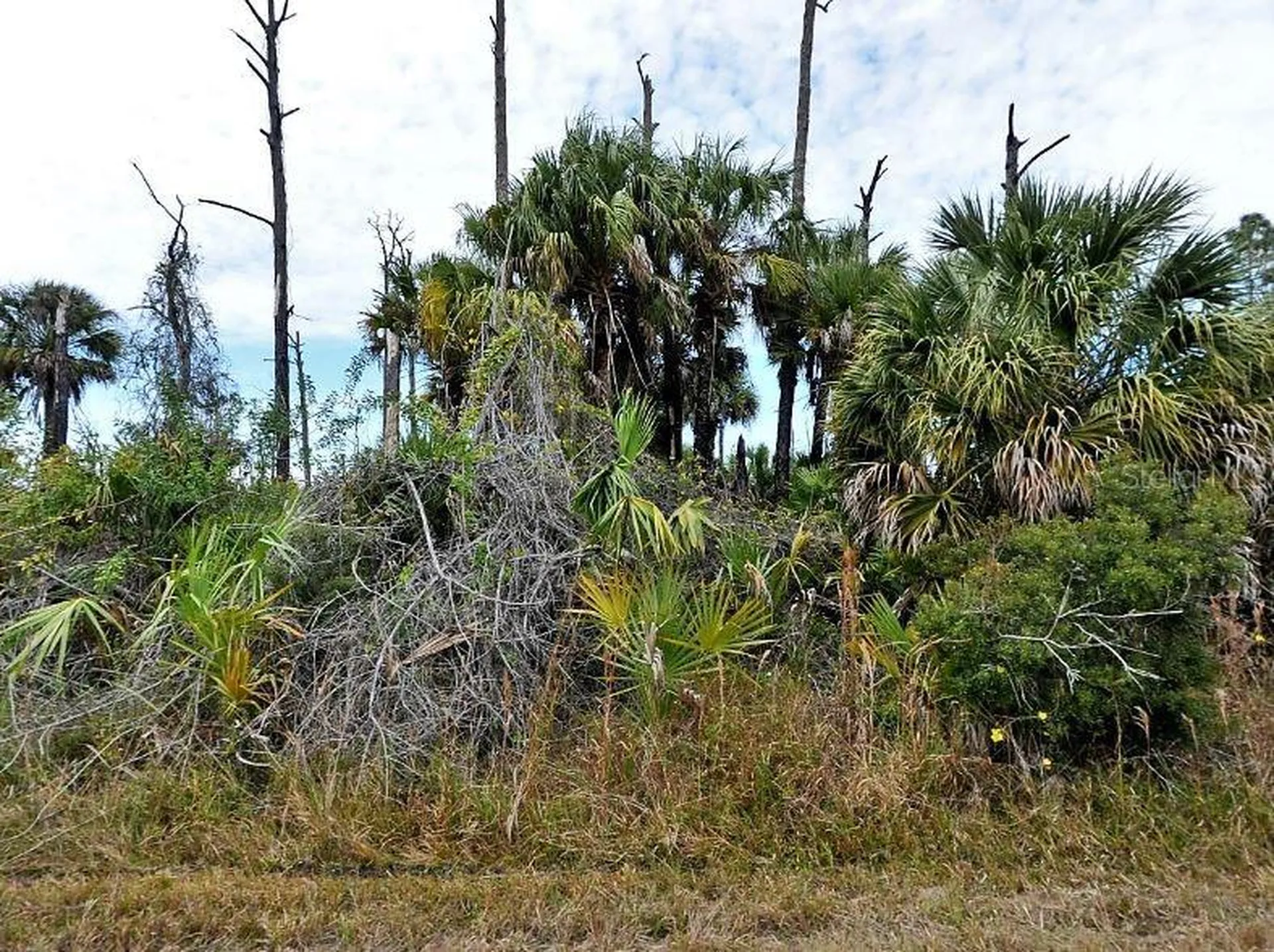 Ewen Drive North Port FL 34288