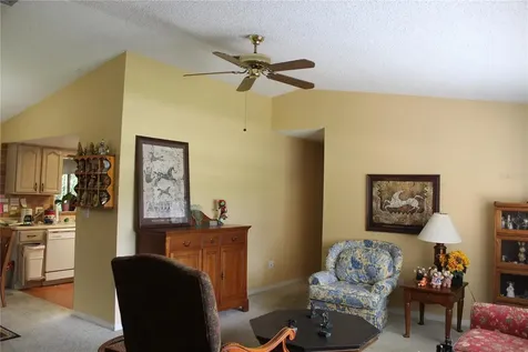 4269 Lake Eleanor Drive Mount Dora FL 32757