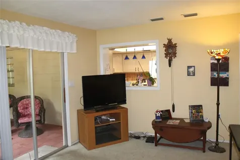 4269 Lake Eleanor Drive Mount Dora FL 32757
