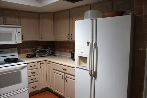 4269 Lake Eleanor Drive Mount Dora FL 32757